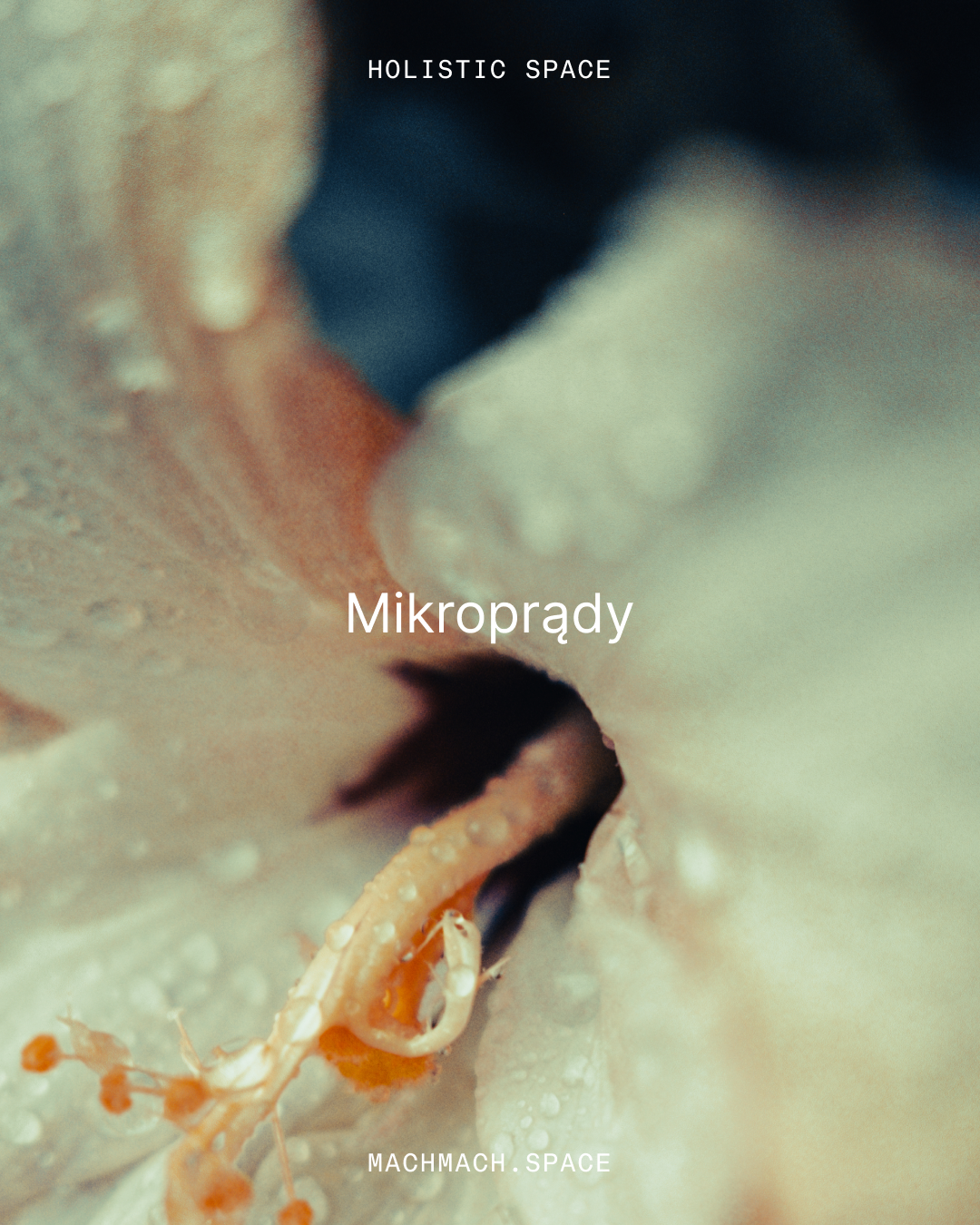 Mikroprądy - Lift & Glow