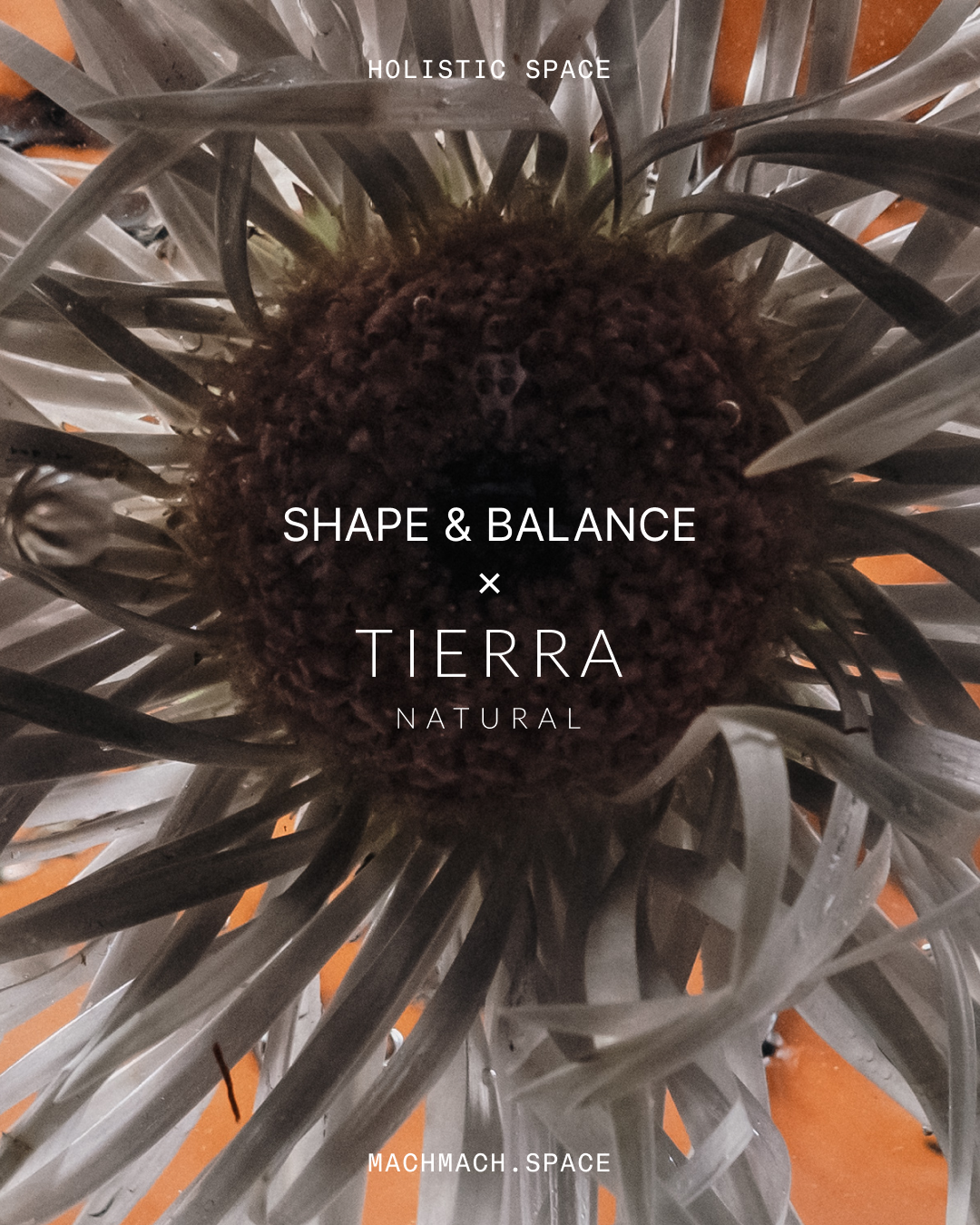 SHAPE & BALANCE x Tierra Natural - Maderoterapia z drenażem limfatycznym